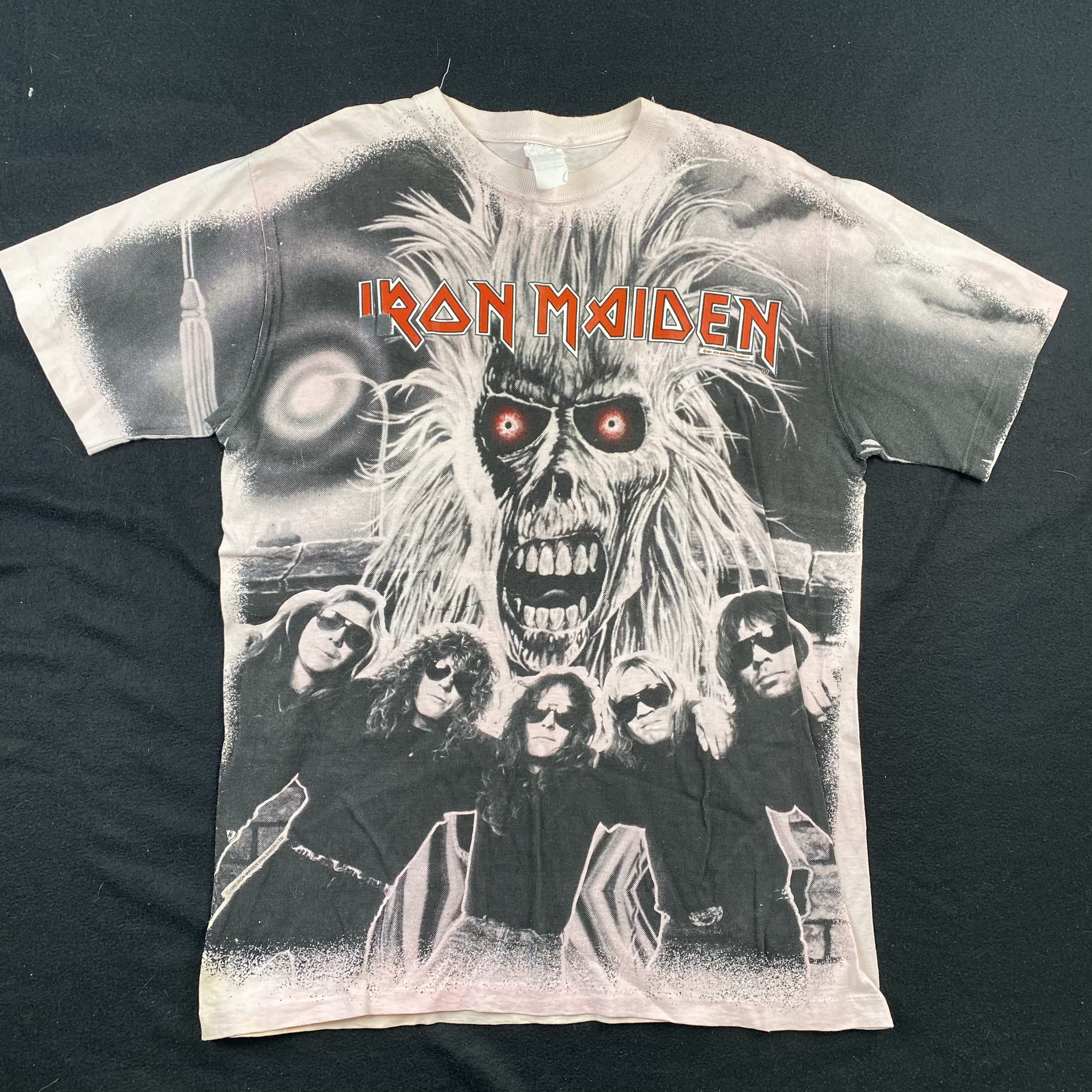 ironmaiden01.jpg