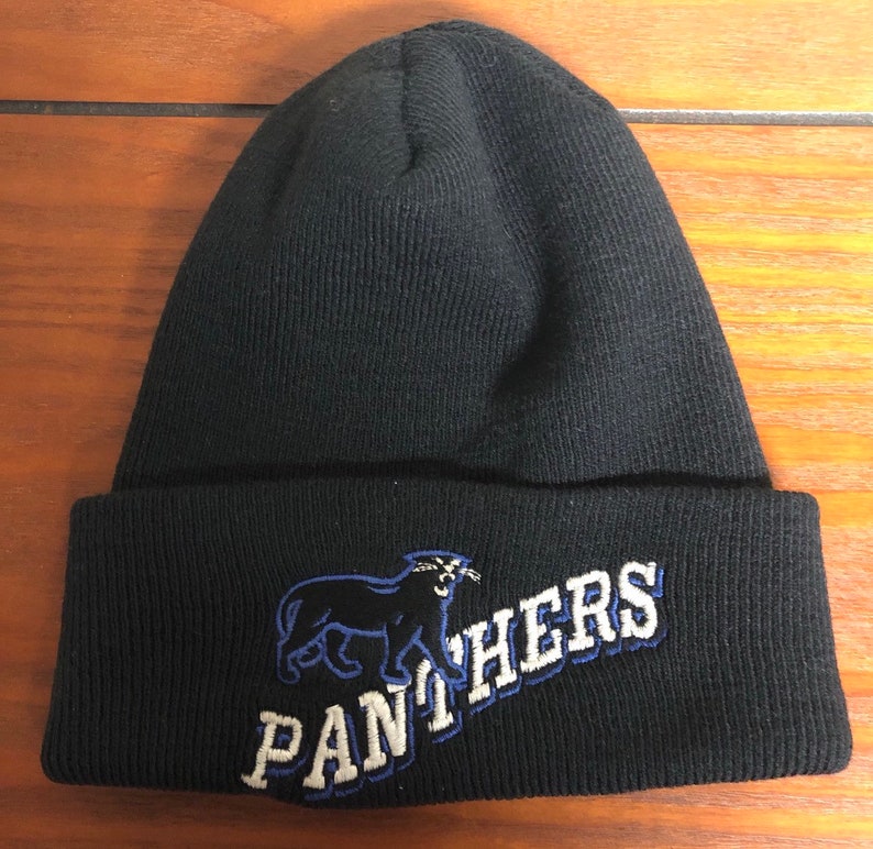 Vintage Carolina Panthers beanie by the game
