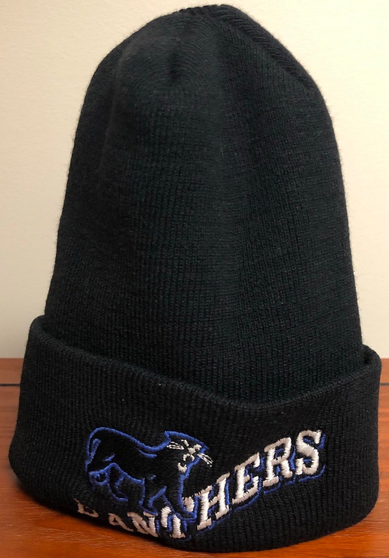 Vintage Carolina Panthers beanie by the game