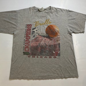 90s Chicago Bulls T-shirt Sz XL (a3888)