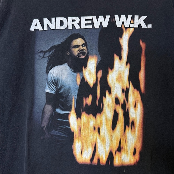 稀少 00s Andrew W.K. Tシャツ Mサイズ バンドT ロックT 黒 2000s Andrew WK T-shirt Sz L (B2244) - Etsy