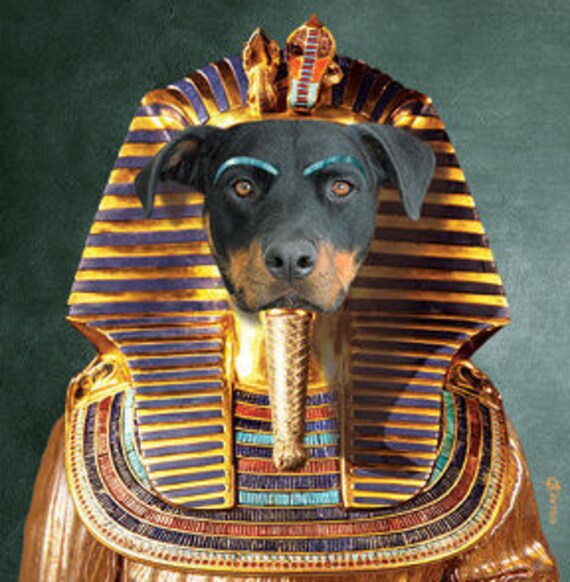 King Mutt www.xeducacional.srv.br