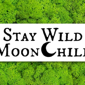 stay wild moon child