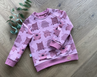 Sweatshirt mit Raglanärmeln, Pullover