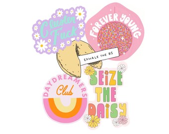 Non-Packaged Individual Stickers, Fun Stickers, Retro Stickers, Sarcastic Stickers, Funny Stickers, I Said What I Said, Level Up Stickers