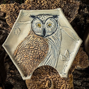 May include: A hexagonal ceramic plate featuring a detailed owl design. The owl has yellow eyes, and brown and white feathers. The plate is off-white with a textured surface and leaf accents.