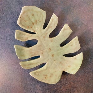 May include: A ceramic leaf-shaped dish with a light green glaze and brown speckles. The dish is shaped like a monstera leaf.