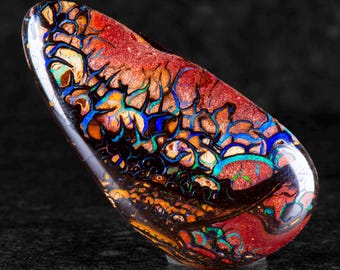 Puede incluir: Una piedra preciosa de ópalo pulida, de forma ovalada. El ópalo muestra una vibrante gama de colores, incluyendo rojo, naranja, azul y verde, con una base oscura, casi negra. La superficie tiene un patrón único e intrincado.
