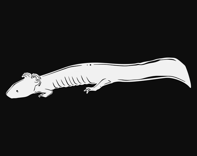 cave salamander svg cut file, glowforge file, axolotl vinyl template, salamander laser cut file, reptile svg, cuttable svg, clipart png