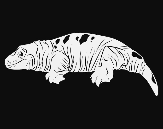 leachie gecko svg cut file, lizard glowforge file, vinyl template, laser cut file, reptile svg, cuttable animal svg, clipart png