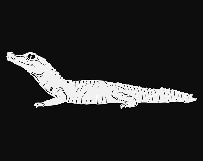 alligator svg cut file, reptile glowforge file, vinyl template, laser cut file, reptile svg, cuttable animal svg, clipart png