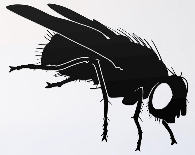 fly svg cut file, glowforge file, monarch vinyl template, fly laser cut file, reptile svg, cuttable bug svg, clipart png