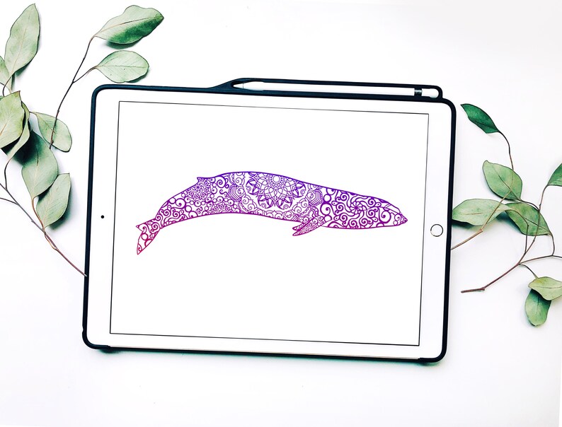 Download Zentangle Inspired Mandala Svg Bule Whale Svg Svg Svg Files For Cricut Svg Files Papercut Art Card Making Stationery Papercraft