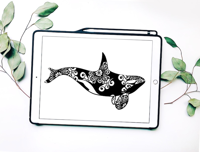 Download Whale Svg Orca Svg Mandala Svg Recommended For Projects 10 ...