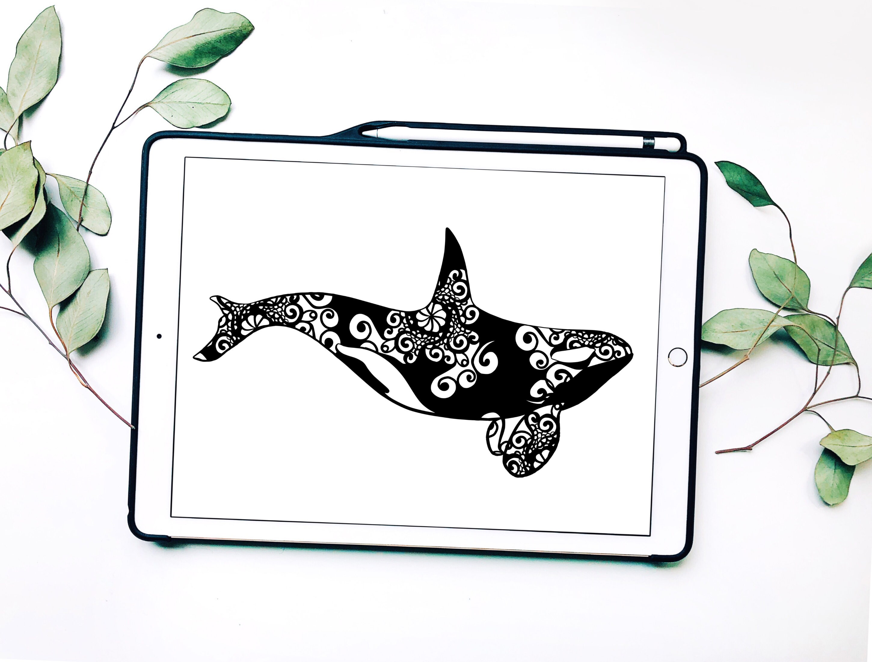 Download Whale Svg, Orca Svg, Mandala Svg