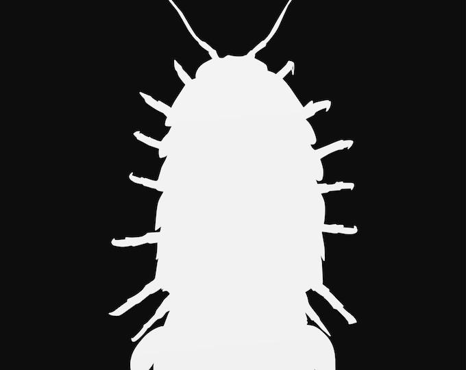 isopod svg cut file, glowforge file, vinyl template, laser cut file, animals svg, cuttable animal svg, clipart png