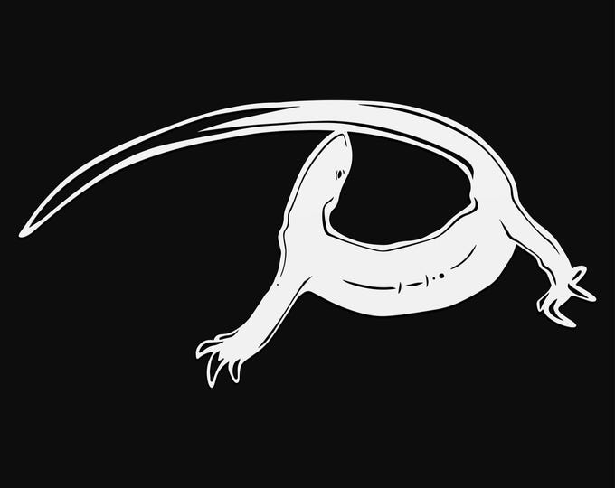 salamander svg cut file, glowforge file, amphibian vinyl template, salamander laser cut file, reptile svg, cuttable svg, clipart png