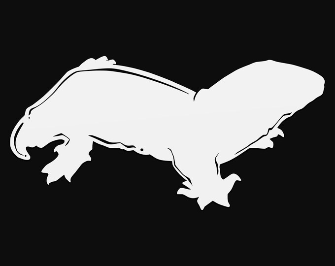 leachie gecko svg cut file, lizard glowforge file, vinyl template, laser cut file, reptile svg, cuttable animal svg, clipart png
