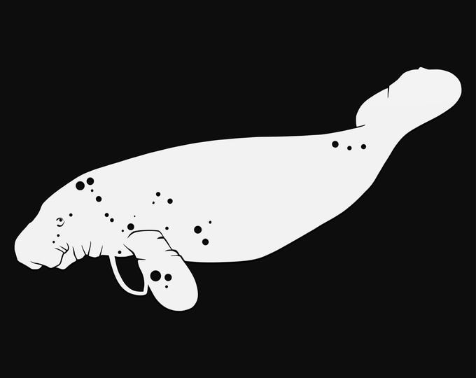manatee svg cut file, glowforge file, vinyl template, laser cut file, animals svg, cuttable animal svg, clipart png
