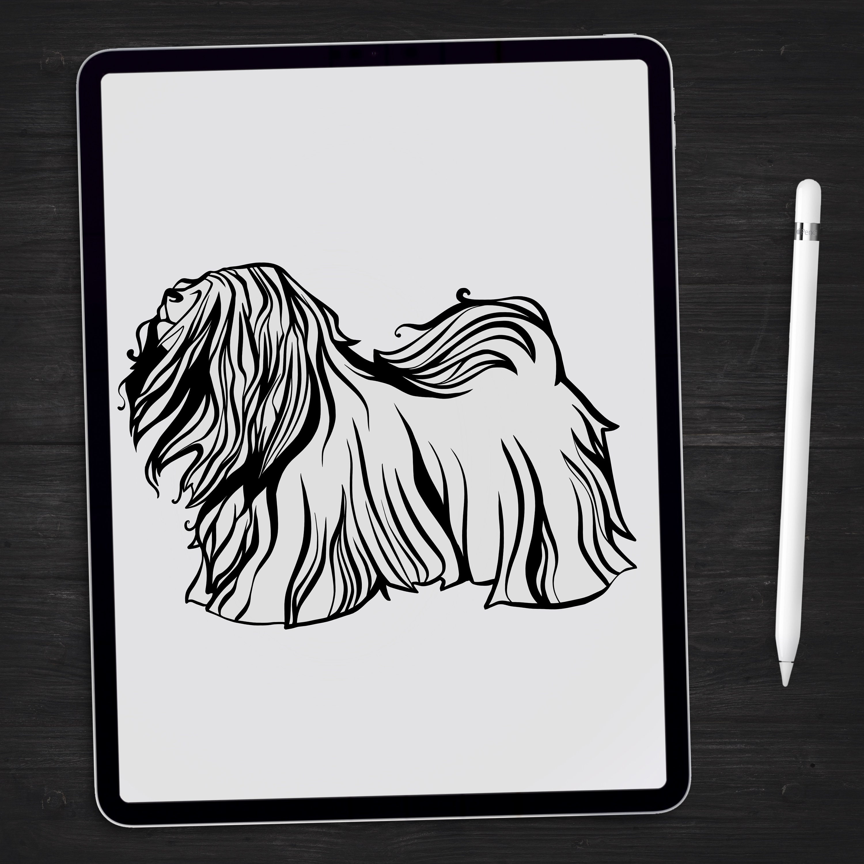 Download Havanese Svg, Dog Svg, Mandala Svg (Recommended For ...