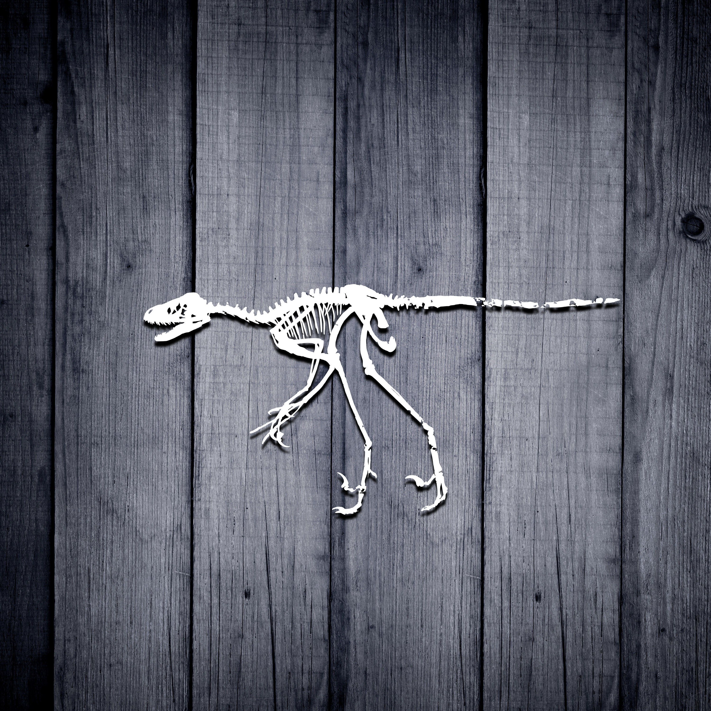 Download Raptor Skeleton Svg Dinosaur Svg Recommended For Projects 10 Inches 3D SVG Files Ideas | SVG, Paper Crafts, SVG File