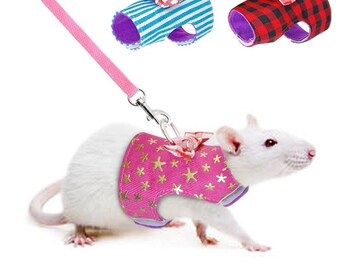 rats on leashes