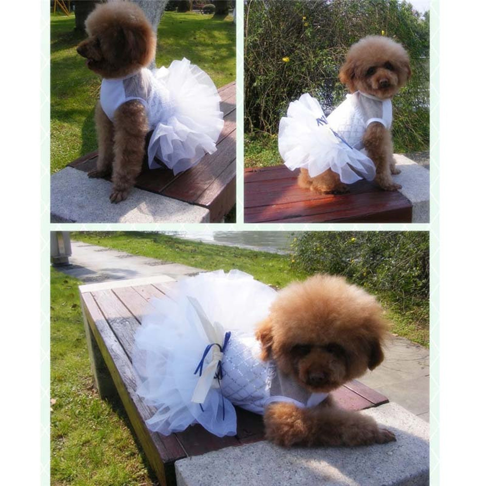 Adorable Prom Wedding Dog Dress Celebrate Etsy