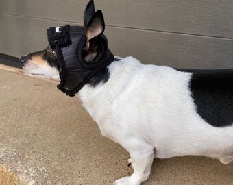 pilot hat for dogs