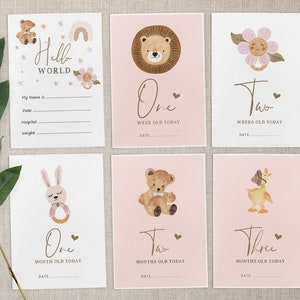 Pu&ograve; includere: Set di nove carte per i traguardi del bambino con illustrazioni ad acquerello rosa e marrone di animali e un arcobaleno. Le carte riportano il testo "Hello World", "One Week Old Today", "Two Weeks Old Today", "One Month Old Today", "Two Months Old Today" e "Three Months Old Today".