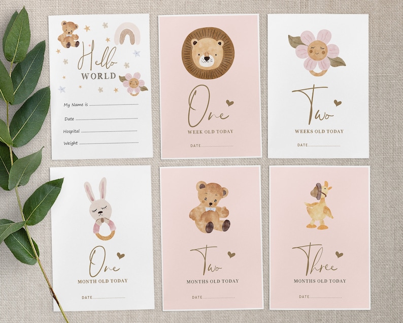 Pu&ograve; includere: Set di nove carte per i traguardi del bambino con illustrazioni ad acquerello rosa e marrone di animali e un arcobaleno. Le carte riportano il testo "Hello World", "One Week Old Today", "Two Weeks Old Today", "One Month Old Today", "Two Months Old Today" e "Three Months Old Today".