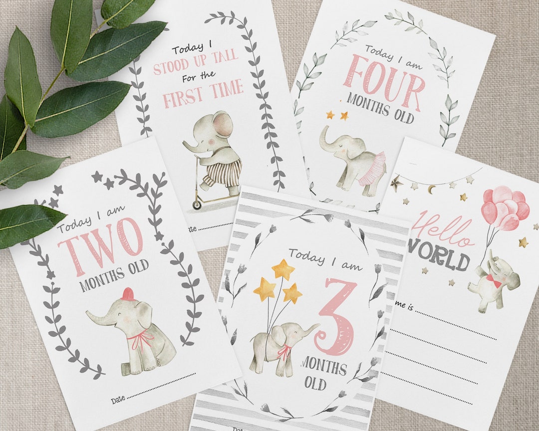 Pink Elephant Baby Milestone Cards, Watercolour Floral Baby Girl ...