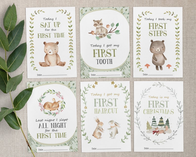 Pode incluir: Seis cart&otilde;es ilustrados com um tema de floresta. Cada cart&atilde;o apresenta um marco diferente para um beb&ecirc;, como "Hoje eu sentei pela primeira vez" com um urso, "Hoje eu ganhei meu primeiro dente" com um guaxinim, "Hoje eu dei meus primeiros passos" com um urso, "Ontem &agrave; noite eu dormi a noite toda pela primeira vez" com um veado, "Hoje eu cortei meu cabelo pela primeira vez" com um coelho, e "Hoje &eacute; meu primeiro Natal" com uma raposa.