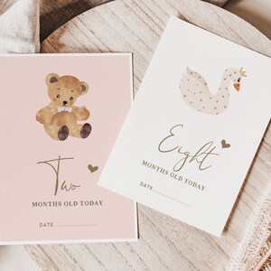 Pu&ograve; includere: Due carte rosa con illustrazioni di un orsacchiotto e un cigno. Le carte sono per i traguardi del secondo e dell'ottavo mese di un bambino. Il testo sulle carte recita "Due mesi oggi" e "Otto mesi oggi".