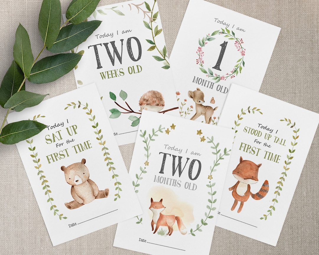 Woodland Baby Milestone Cards With Bears, Monthly Keepsake Gift - Etsy UK