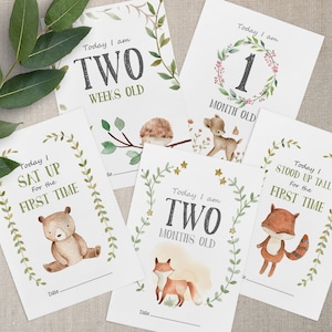 Pode incluir: Cinco cart&otilde;es ilustrados de marcos para beb&ecirc;s com temas de animais da floresta. Os cart&otilde;es apresentam um veado, uma raposa, um urso, um ouri&ccedil;o e uma raposa. Os cart&otilde;es t&ecirc;m texto que diz "Hoje tenho 1 m&ecirc;s", "Hoje tenho 2 semanas", "Hoje sentei pela primeira vez", "Hoje tenho 2 meses" e "Hoje fiquei de p&eacute; pela primeira vez".