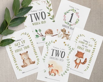 Woodland Baby Milestone Cards with Bears, Monthly Keepsake Gift
