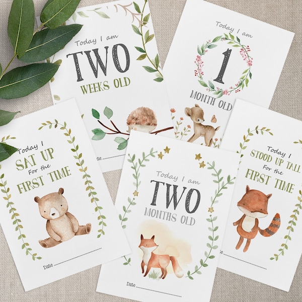 Woodland Baby Milestone Cards, Bears Milestone Cards, Animals First Milestone Cards. Woodland Animals Milestone Cards, Boy Girl