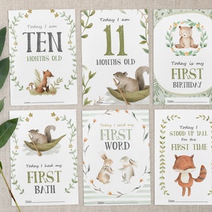 Pode incluir: Conjunto de seis cart&otilde;es de marcos imprim&iacute;veis com animais da floresta e vegeta&ccedil;&atilde;o. Os cart&otilde;es incluem marcos como "Hoje tenho dez meses", "Hoje tenho onze meses", "Hoje &eacute; meu primeiro anivers&aacute;rio", "Hoje tomei meu primeiro banho", "Hoje disse minha primeira palavra" e "Hoje fiquei em p&eacute; pela primeira vez".