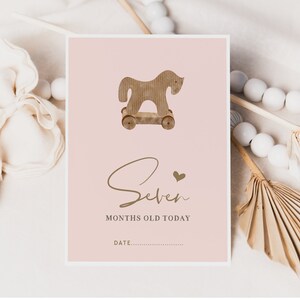 Pu&ograve; includere: Un biglietto rosa con un'illustrazione di un cavallo a dondolo di legno marrone e il testo "Seven months old today" in lettere dorate. Il biglietto ha uno spazio vuoto per una data.