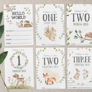 Pode incluir: Conjunto de seis cart&otilde;es de marcos para beb&ecirc;s com ilustra&ccedil;&otilde;es de aquarela de animais da floresta. Os cart&otilde;es apresentam as frases "Ol&aacute; Mundo", "Hoje tenho uma semana", "Hoje tenho duas semanas", "Hoje tenho um m&ecirc;s", "Hoje tenho dois meses" e "Hoje tenho tr&ecirc;s meses".