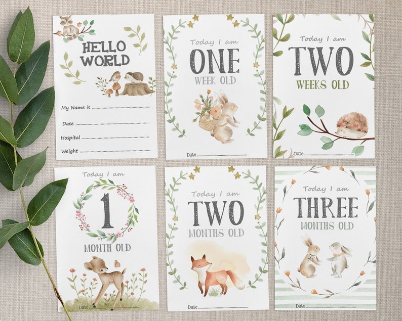 Pode incluir: Conjunto de seis cart&otilde;es de marcos para beb&ecirc;s com ilustra&ccedil;&otilde;es de aquarela de animais da floresta. Os cart&otilde;es apresentam as frases "Ol&aacute; Mundo", "Hoje tenho uma semana", "Hoje tenho duas semanas", "Hoje tenho um m&ecirc;s", "Hoje tenho dois meses" e "Hoje tenho tr&ecirc;s meses".