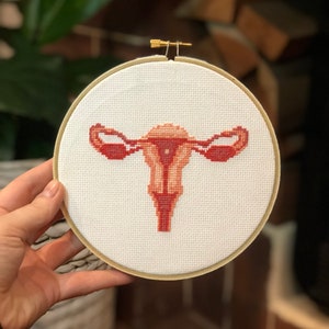 Anatomical Uterus Cross Stitch Kit for Beginners | DIY  Biology Embroidery Needlepoint Pattern | Beginner Counted Crossstitch Supplies