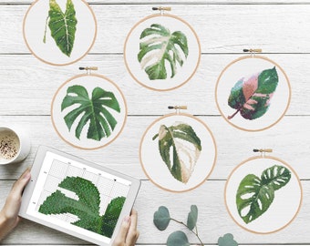 Cross Stitch PDF Plants Series Pack of Six | Monstera Adansonii Deliciosa Variegated | Counted Cross Stitch Chart Digital Download