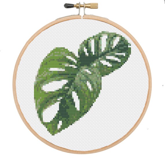 Pdf Pattern Monstera Adansonii Cross Stitch Embroidery Etsy
