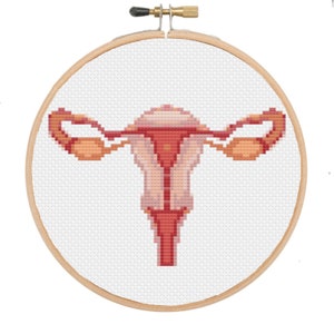 PDF Anatomical Uterus Cross Stitch Chart for Beginners | DIY  Biology Embroidery Needlepoint Pattern | Beginner Counted Crossstitch