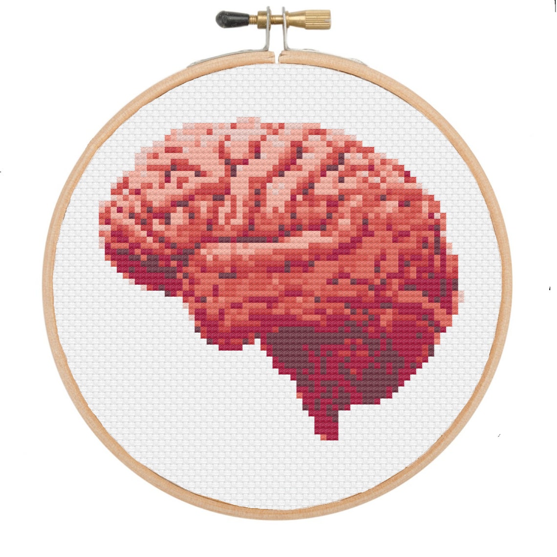 PDF Anatomical Brain Cross Stitch for Beginners DIY Biology Etsy