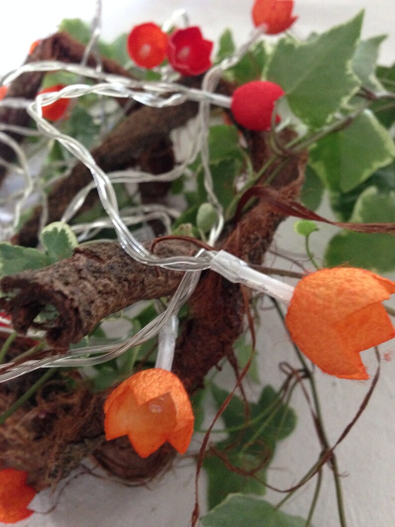 Lichterkette mit gefärbten Seidenkokons Orange Etsy 日本