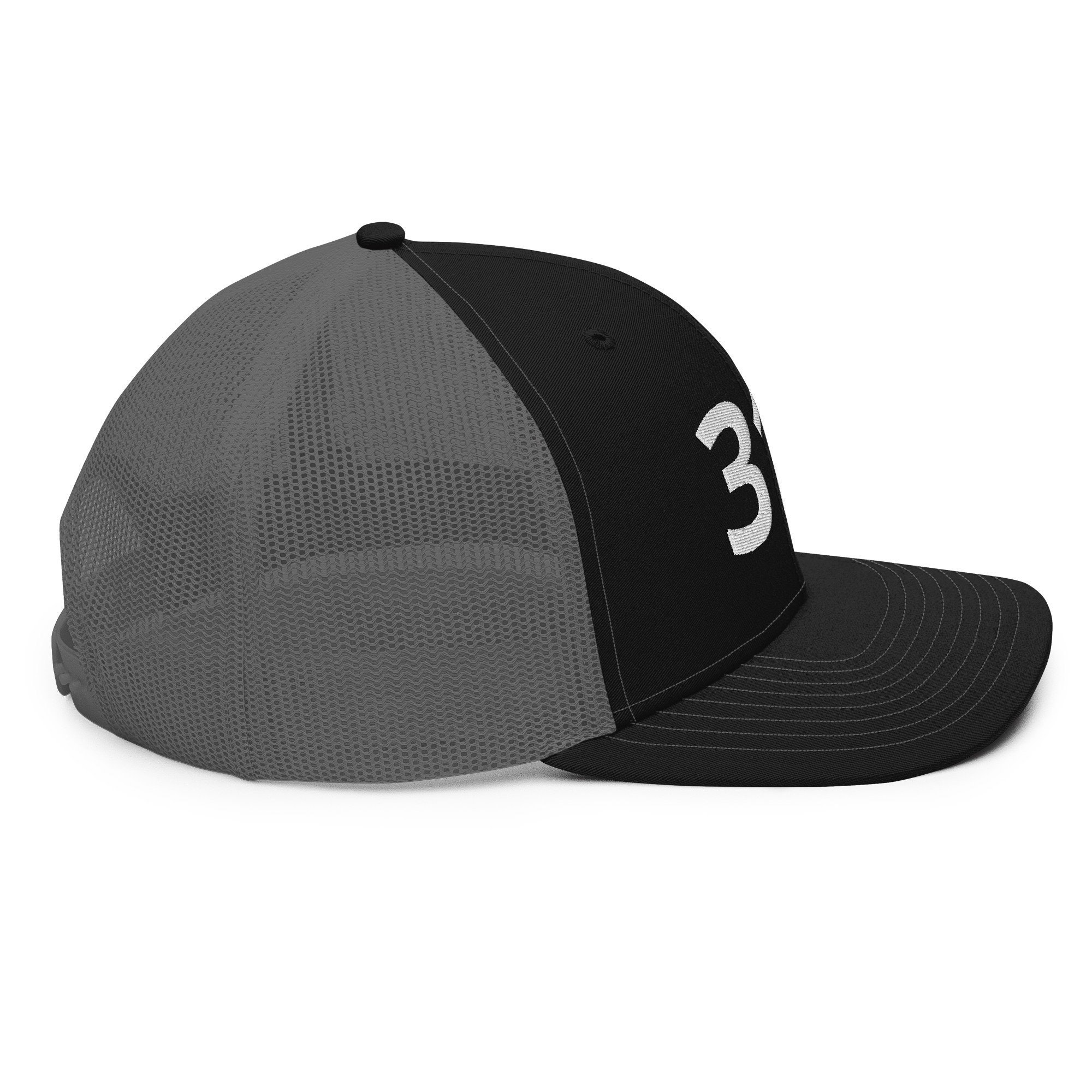 313 Detroit Trucker Cap Mesh Adult Snapback Hat - Etsy