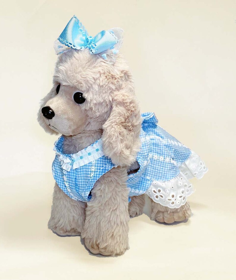 dog clothes store near me