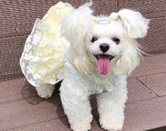 Camellia dog dress, Bow, Dog, clothing, Luxury Dog Dress, Small dog clothing, dog gifts S~2XL